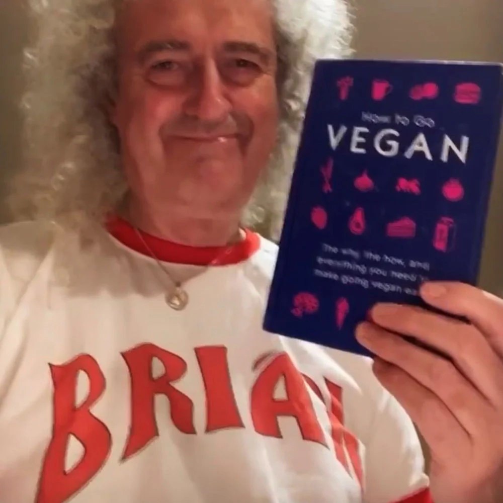 Brian' Flash Ringer | T-Shirt - Image 2